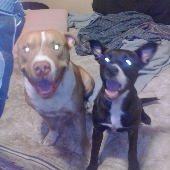 Profile Picture of James Scully (@scullymac707) on Poshmark