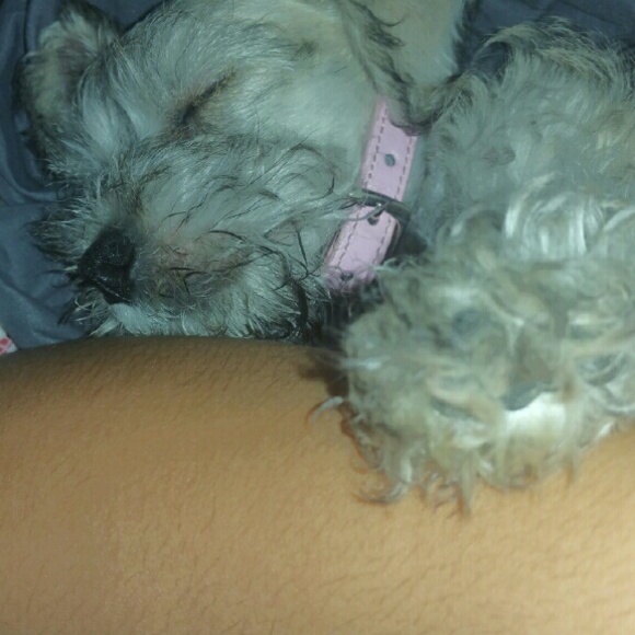 Profile Picture of Violeta Campos (@abigail1982) on Poshmark