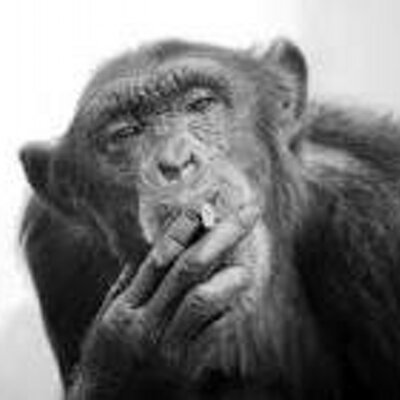 Profile Picture of Dan Delfino (@liftritelifts) on Twitter