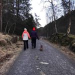 Profile Picture of Viola Hansen (@violahhansen) on Instagram