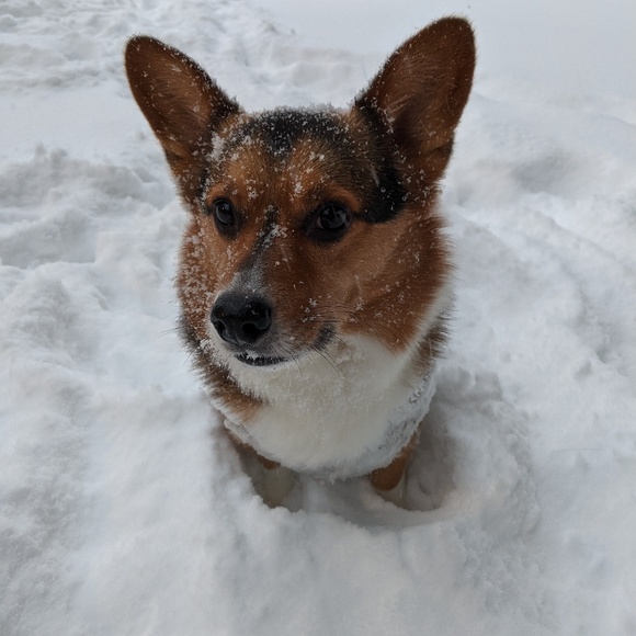 Profile Picture of Joyce Ko (@silknsatin90) on Poshmark