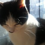 Profile Picture of Bora Moon (@motomotojun) on Instagram