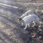 Profile Picture of Stuart Telfer (@telfer.stuart) on Instagram