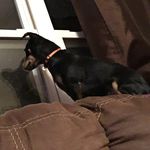 Profile Picture of Andrew Owings (@aowings07) on Instagram