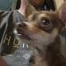 Profile Picture of Nicholas Hurlbut (@nicholas.hurlbut.7169) on Facebook