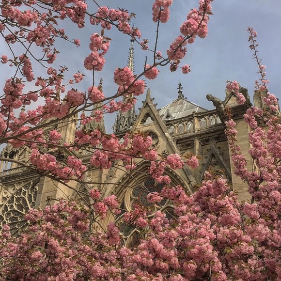 Profile Picture of Sama Sama (@salehsamatha817) on Poshmark