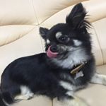 Profile Picture of Daniel Ouyang (@ouchsnag) on Instagram