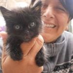 Profile Picture of Doris Maldonado Noel (@casa_de_las_jardineras) on Instagram