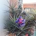 Profile Picture of Edid Jimenez (@edid.jimenez.52) on Facebook