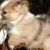 Profile Picture of Patty Joyce-Walker (@cuddles2500) on Pinterest