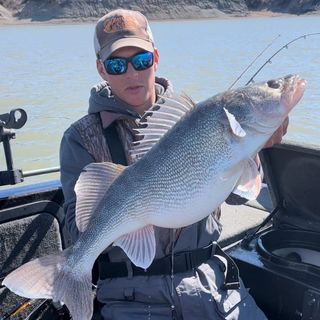 Profile Picture of Josh Moret (@joshmoretfishing) on Instagram