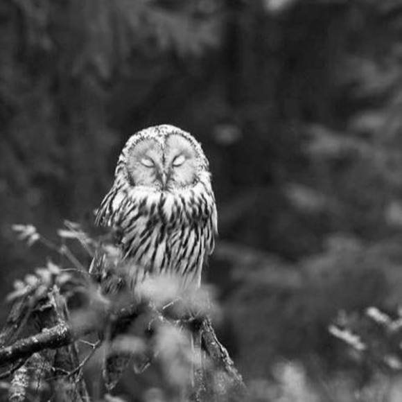 Magy Fermental - Poshmark Profile Picture of Magy Fermental (@magyfermental) on Poshmark