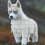 Profile Picture of Guillermo Bello (@guillermo.bello.779857) on Instagram