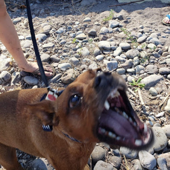 Profile Picture of Allie Wilcock (@ali447538) on Poshmark