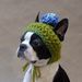 Profile Picture of Meredith Yoder (@jmyoder08) on Pinterest