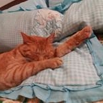 Profile Picture of Steven Amaya Encarnación (@stevenamayaencarnacion) on Instagram