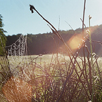 Profile Picture of Kyle Martin (@spaceheatermag) on Flickr