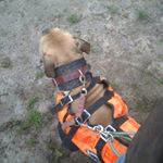 Profile Picture of Preston Cooper (@preston09.pc) on Instagram