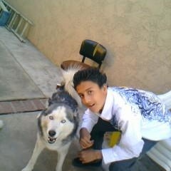 Profile Picture of Fausto Roman (@368643201) on Myspace