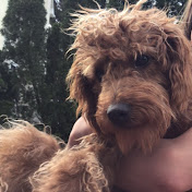 Profile Picture of Julia Mckeever (@juliamckeever1854) on Youtube