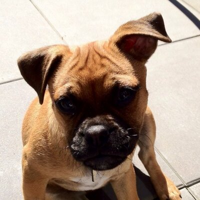 Profile Picture of John Helbig (@iMacWow) on Twitter