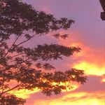 Profile Picture of Dalla$-John Keahonui (@itsdallyboi) on Instagram