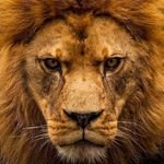 Profile Picture of Jerome Winter (@jerome_winter) on Instagram