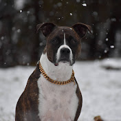 Profile Picture of Pat Swett (@patswett8500) on Youtube