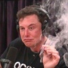 Profile Picture of Brad Woolf (@@bradwolff7) on Tiktok