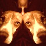 Profile Picture of Justin Kneesel (@jigidy1979) on Instagram