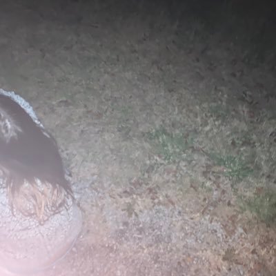 Profile Picture of Adam Colston (@Sabantooth) on Twitter