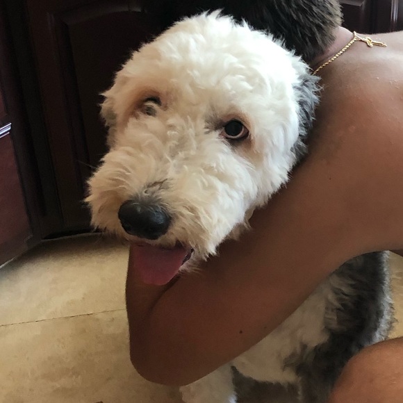 Profile Picture of Jesse Dillon (@jessedillon101) on Poshmark