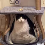 Aaron Davison - Facebook Profile Picture of Aaron Davison (@Aaron-Davison) on Facebook