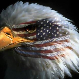 Profile Picture of Jared Wonderly (@jared.wonderly.39) on Facebook