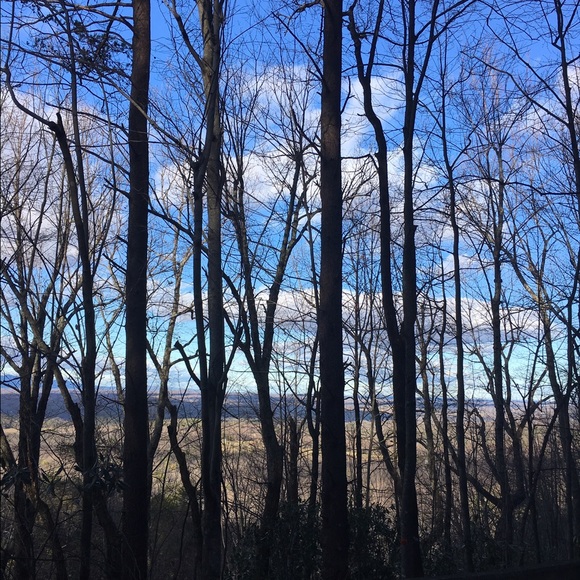 Profile Picture of Nancy Horton (@flnancy) on Poshmark