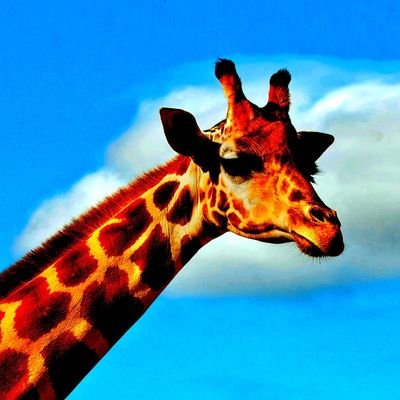 Profile Picture of Jon (@v_for_visconti) on Twitter