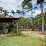 Profile Picture of René Fontaine (@vila_beija_flor) on Instagram