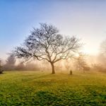 Profile Picture of Dave Griffiths (@davegriffmusic) on Instagram