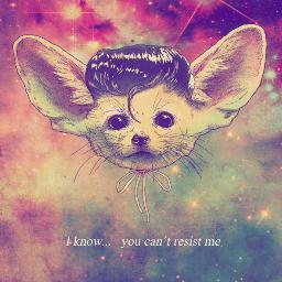 Profile Picture of Avery Rodriguez (@BaeveryRodrig) on Twitter