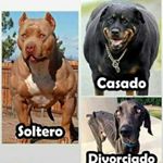 Profile Picture of Dam22 (@irisfernandezcarbajal) on Instagram