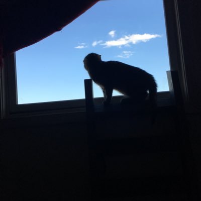 Profile Picture of Chloe Byrd (@ChloeByrd18) on Twitter