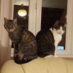 Profile Picture of Catherine SOYER (@catherinesyr) on Instagram