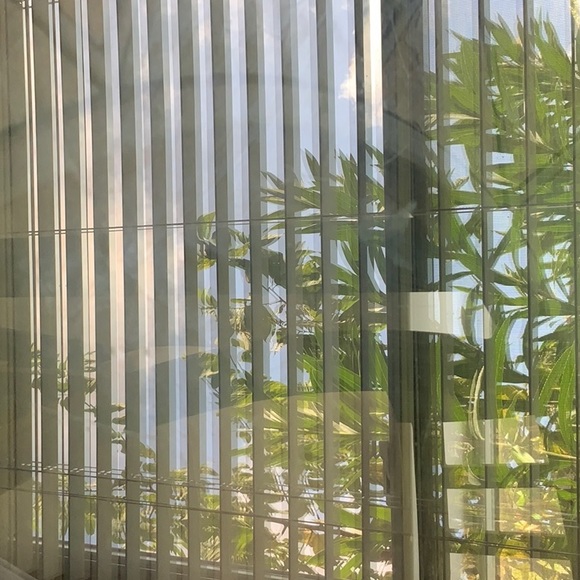 Profile Picture of Avery Brents (@averybrents) on Poshmark