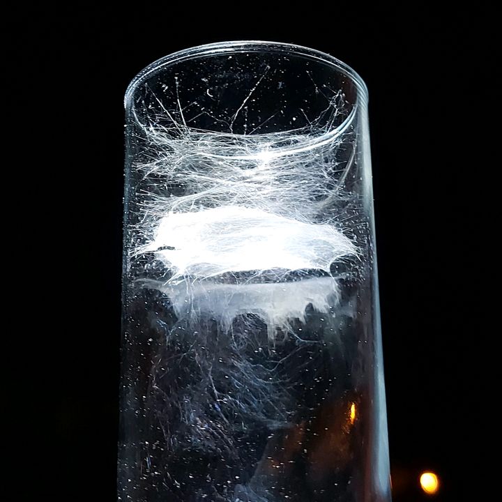 Profile Picture of Georg Obermeier (@georgobermeier0419) on Tiktok