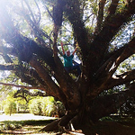 Profile Picture of Luiz  Carlos Tavares (@luizthecrow) on Flickr