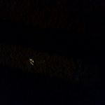 Profile Picture of Fahad alotaibi (@tabora) on Instagram