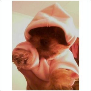 Profile Picture of Amelia Porter (@132199592) on Myspace