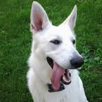 Kate Levanduski - Facebook Profile Picture of Kate Levanduski (@kate.levanduski.3) on Facebook