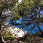 Profile Picture of Catherine Martin Rolland (@catherinemartinrolland) on Instagram