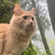 Profile Picture of Christopher Shaw (@ChristopherShaw-x9k) on Youtube